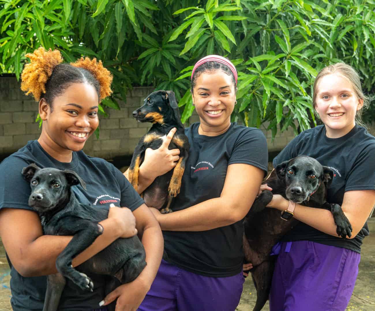 3-Students_with_puppies-1_1