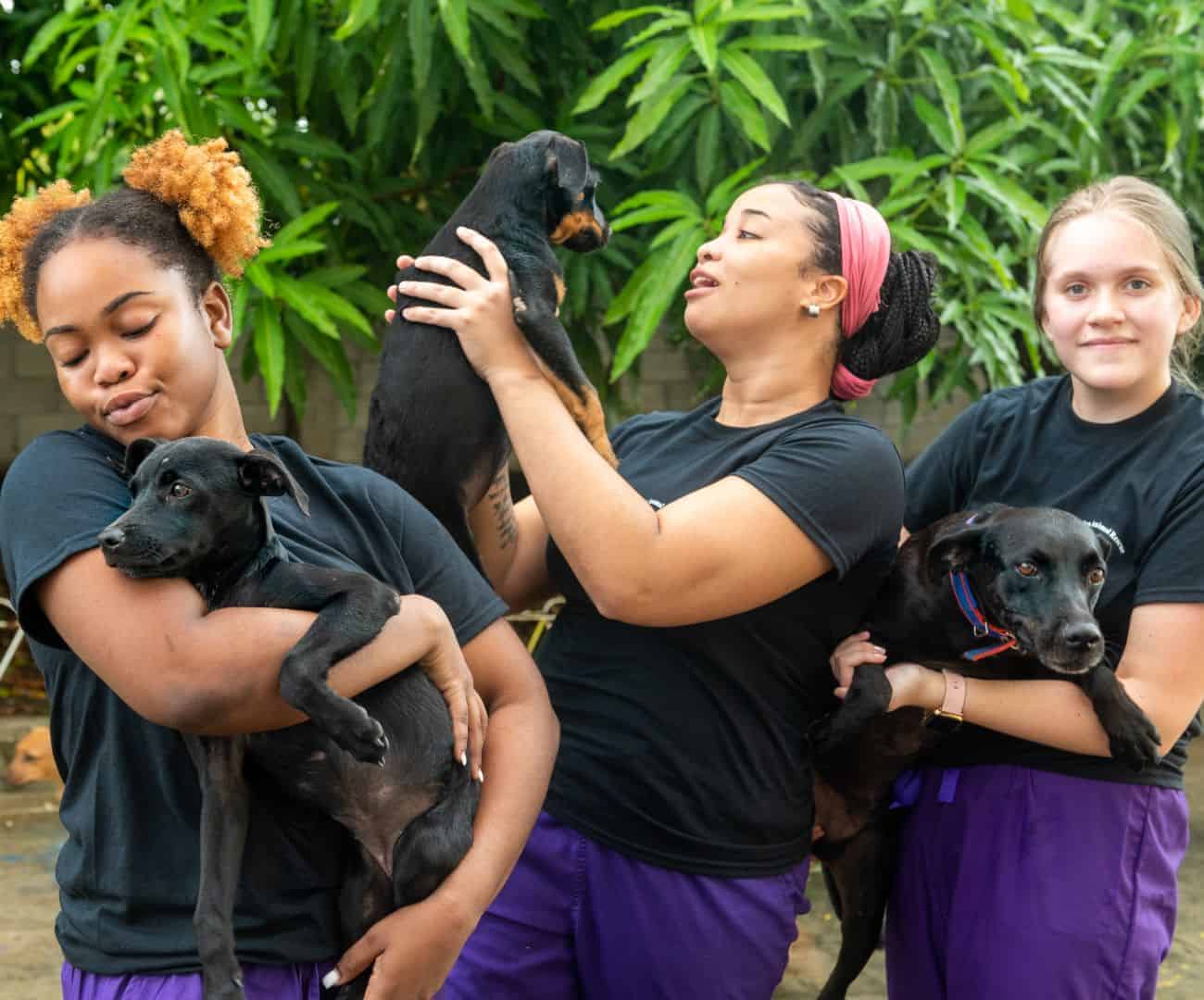 4-Students_with_puppies-1_1